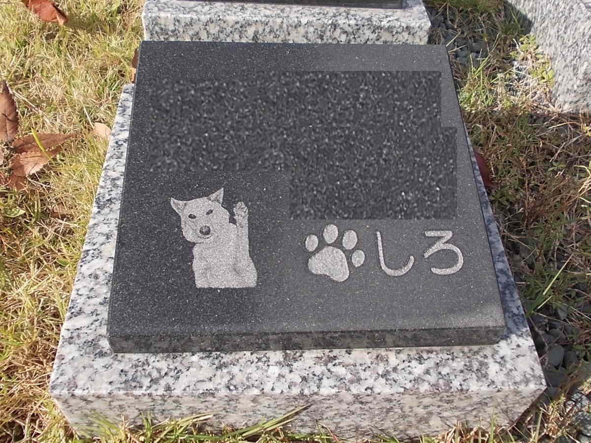天が瀬メモリアル公園 京都宇治で葬儀 永代供養 光明寺参事が葬儀 永代供養について説明しています お墓 供養 葬儀 わからない事が多いですね パート 2 天が瀬メモリアル公園 京都宇治で葬儀 永代供養 光明寺参事が葬儀 永代供養について説明しています お墓 供養 葬儀 わからない事が多いですね パート 2