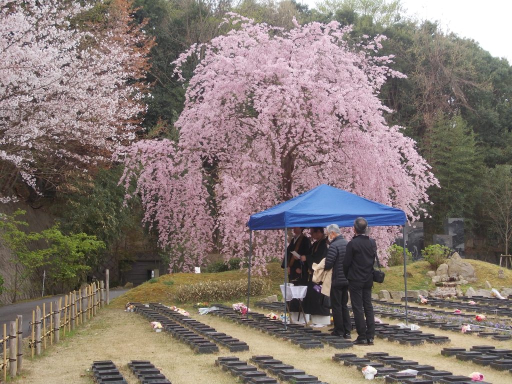 お墓は供養が大事