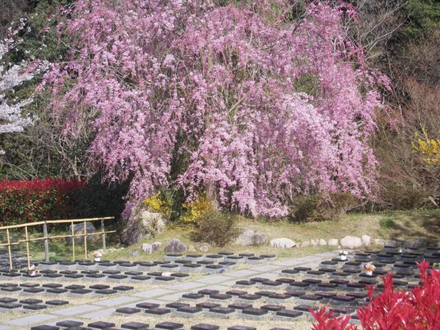 桜下庭園樹木葬