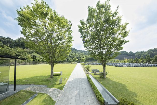 天ケ瀬メモリアル公園の芝生