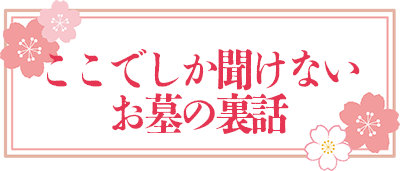 ここでしか聞けないお墓の裏話