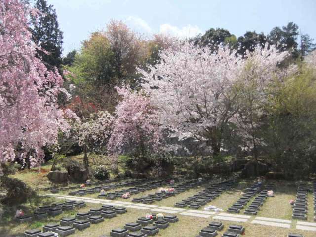 2022年４月花祭り（釈迦の降誕祭）の写真集